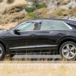 2018 Audi Q8